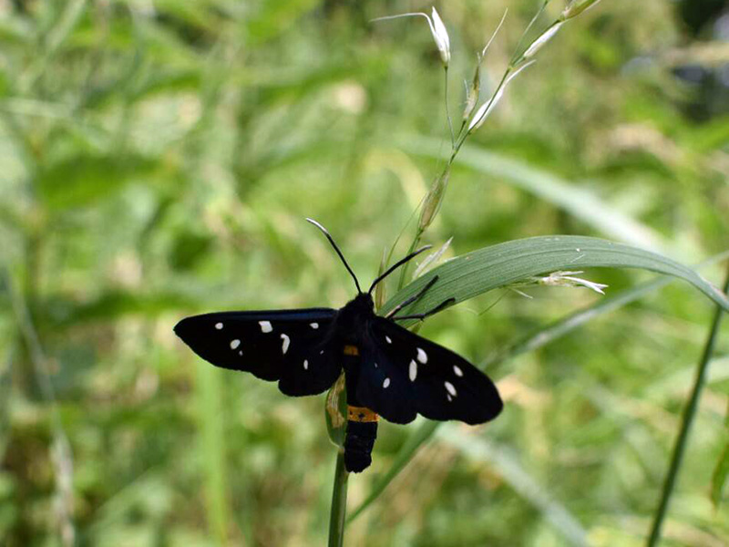 Straordinaria natura garganica: la conoscete così bene da non aver necessità di leggere RignanoNostra.it? (Foto postata da Matteo Paglia sul nostro gruppo Facebook)