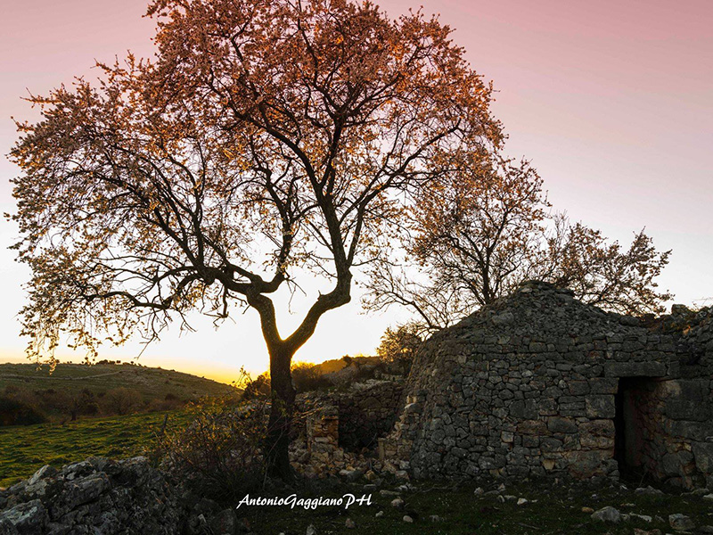 Rignano e il Gargano sono favolosi per il loro centro storico e per i loro tesori paesaggistici (Foto di Antonio Gaggiano).