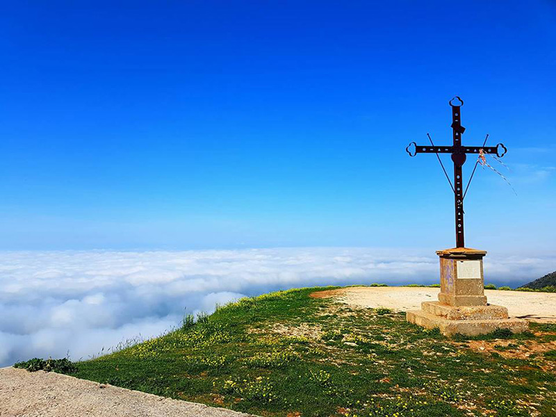 Benvenuti in RignanoNostra.it: il portale che vuole parlare di rignanesità e garganicità (foto: Vincenzo Tancredi).