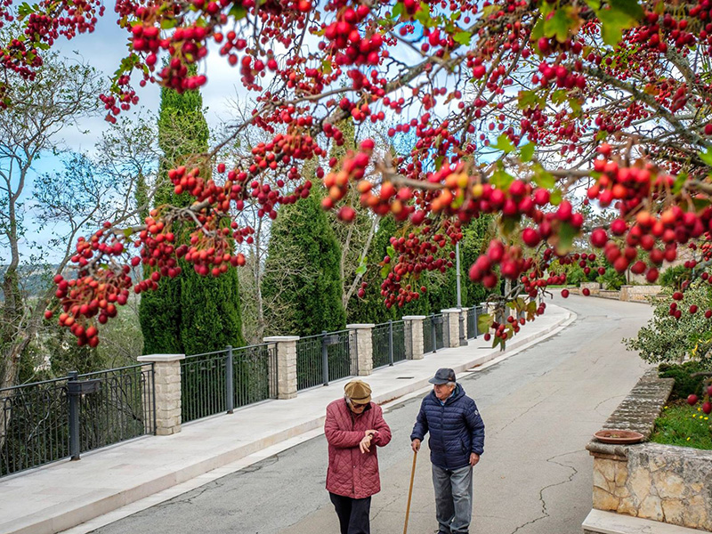 Benvenuti in RignanoNostra.it: il portale che vuole parlare di rignanesità e garganicità (foto: Michele Orlando).